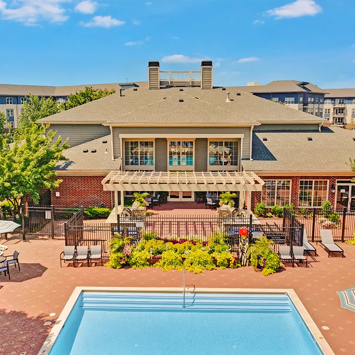 Halstead Centreville pool area featuring lounge chairs and trees, ideal for outdoor relaxation