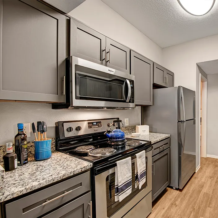 Modern kitchen with stainless steel appliances, granite countertops, and gray cabinetry in a stylish apartment