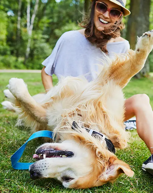Smiling woman with sunglasses watches her dog play in the grass at a community park