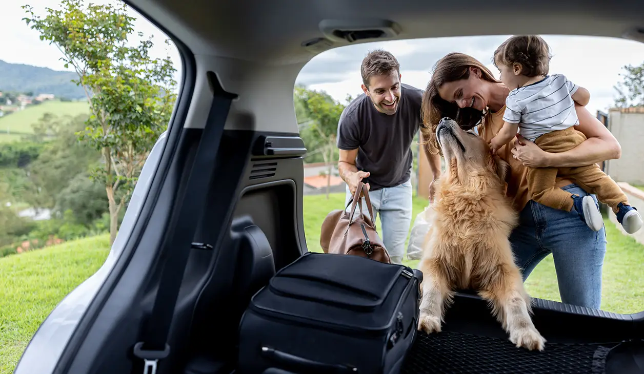 Family enjoy outdoor time with their dog, scene captured through the open SUV trunk
